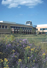 Hoffman Estates&nbsp;IL court reporting