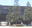 Court Reporting Torrance, CA